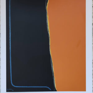 The exhibition catalogue of Giancarlo Cerri - The Abstract Sequences 1995-2005, the cover divided into two sections: orange on the right and black on the left, with a blue line outlining the left section and extending outward. A tear-like design divides the two sections.